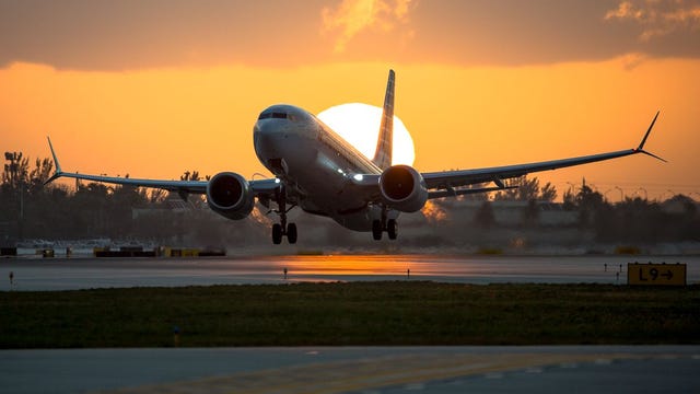 American Airlines changes pet policy, allows passengers to bring carry-on with pet carrier