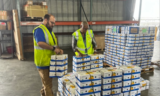 American Airlines Cargo moves record-breaking volumes of mangoes this summer