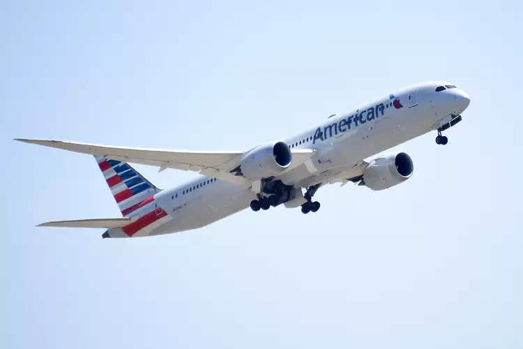 Plane makes emergency landing after passenger spots something crawling in woman’s hair