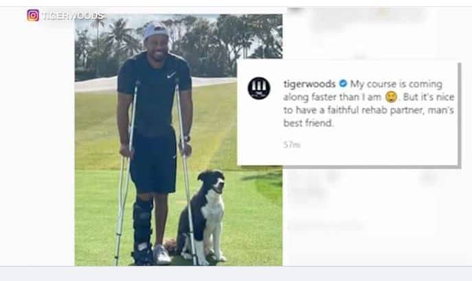 SHOCKING NEWS: TIGER WOODS’ CAREER IN FREEFALL – GOLF LEGEND’S LATEST SURGERY AND DISASTROUS MASTERS PERFORMANCE RAISE QUESTIONS ABOUT HIS FUTURE IN THE SPORT